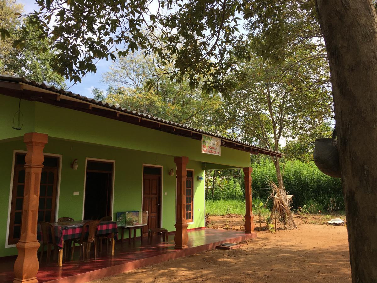 Sigiri Rangana Guesthouse Sigiriya Eksteriør billede